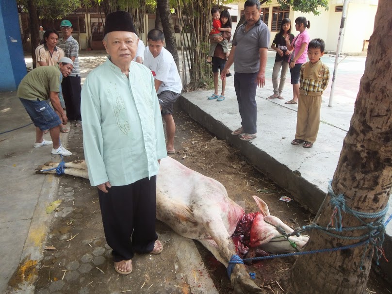 Qurban